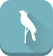 icon of birding